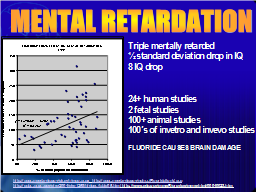 Slide 21