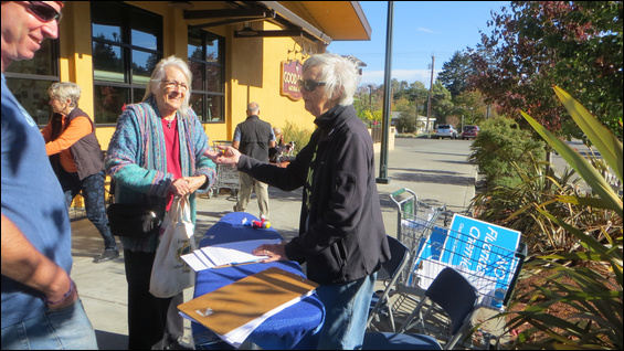 Ginger Souders-Mason collects initiative signatures on an ironing board in front of Good Earth in Fairfax