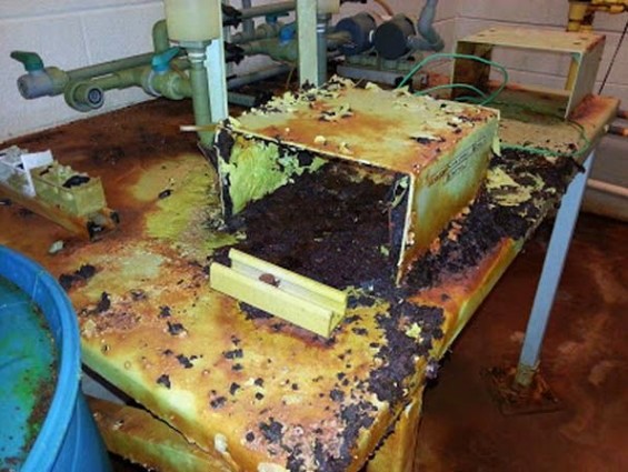 some of the corrosion in the fluoride room.