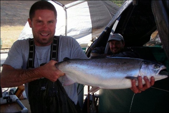 Coho broodstock. Photo: NOAA