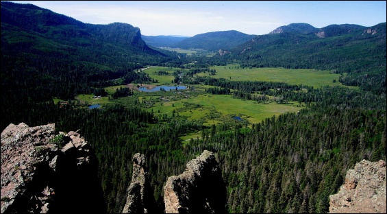 Wolf Creek Pass, This is the bueautful land that tempted Wayne and Cathy Justus to leave California. Photo of Wolf Creek Pass at Pagosa Springs, courtesy of Eric Voss.