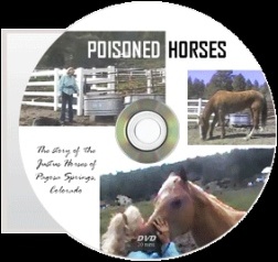 DVDs of Poisoned Horses are available to buy from IAOMT, 8297 Champions Gate Blvd. (Ste. 193), Champions Gate, FL 33896. Phone: 863-420-6373.